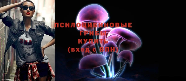 молекула духа Елабуга
