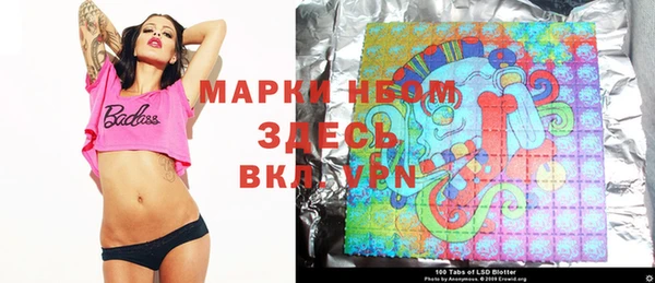 молекула духа Елабуга