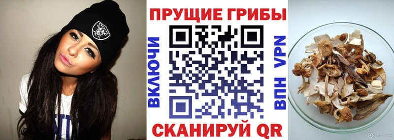 Псилоцибиновые грибы MAGIC MUSHROOMS  Купить где  Беслан 