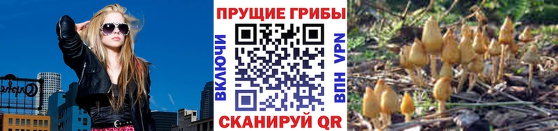 Псилоцибиновые грибы Magic Shrooms Беслан